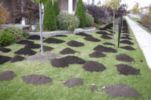 Topdressing lawn with topsoil and compost